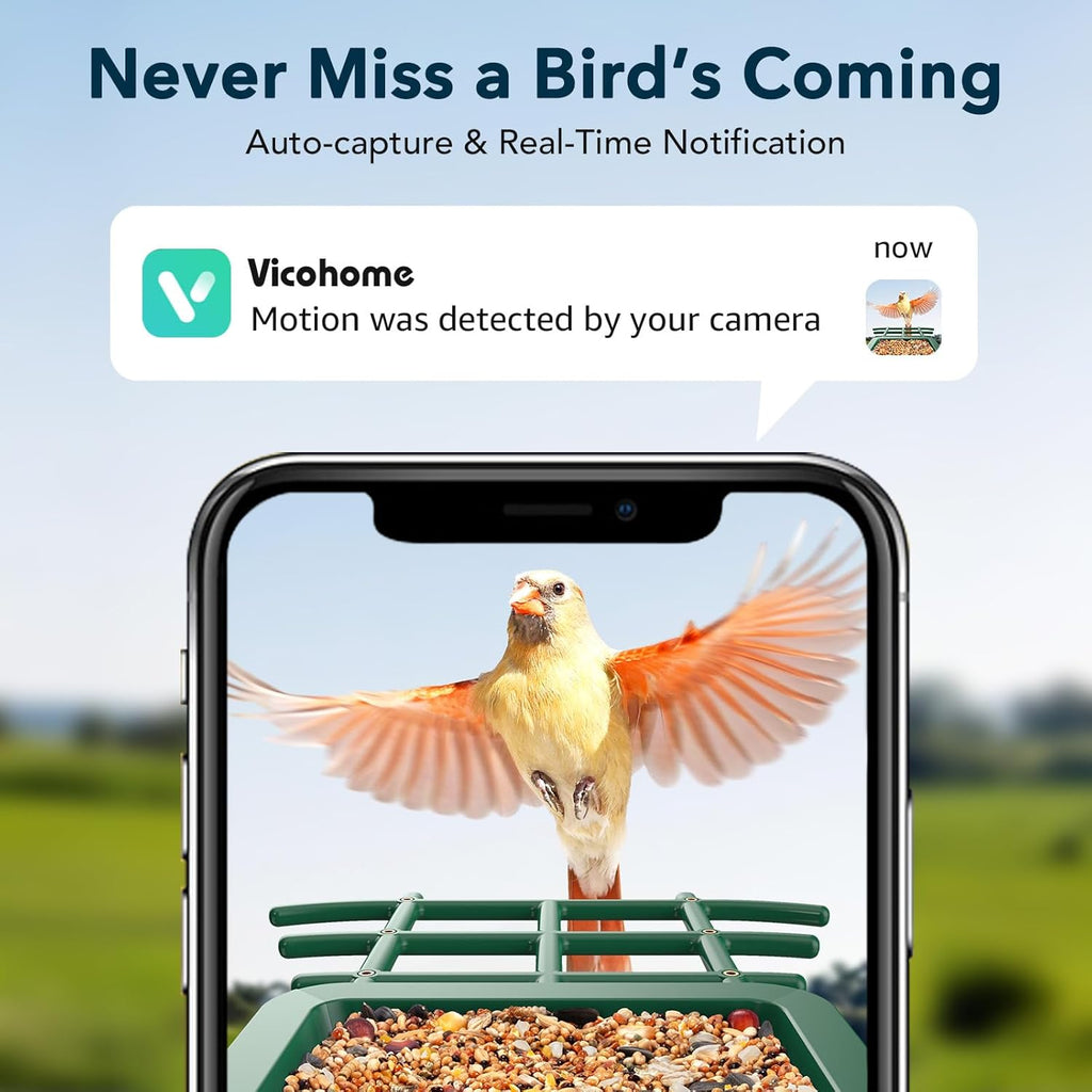 PeckCam Bird Feeder with Camera Solar Powered, AI Identify & Auto Capture, 2K HD Live Video Smart Bird Feeder Camera Instant Notifications in Backyard, Gift for Bird Lovers