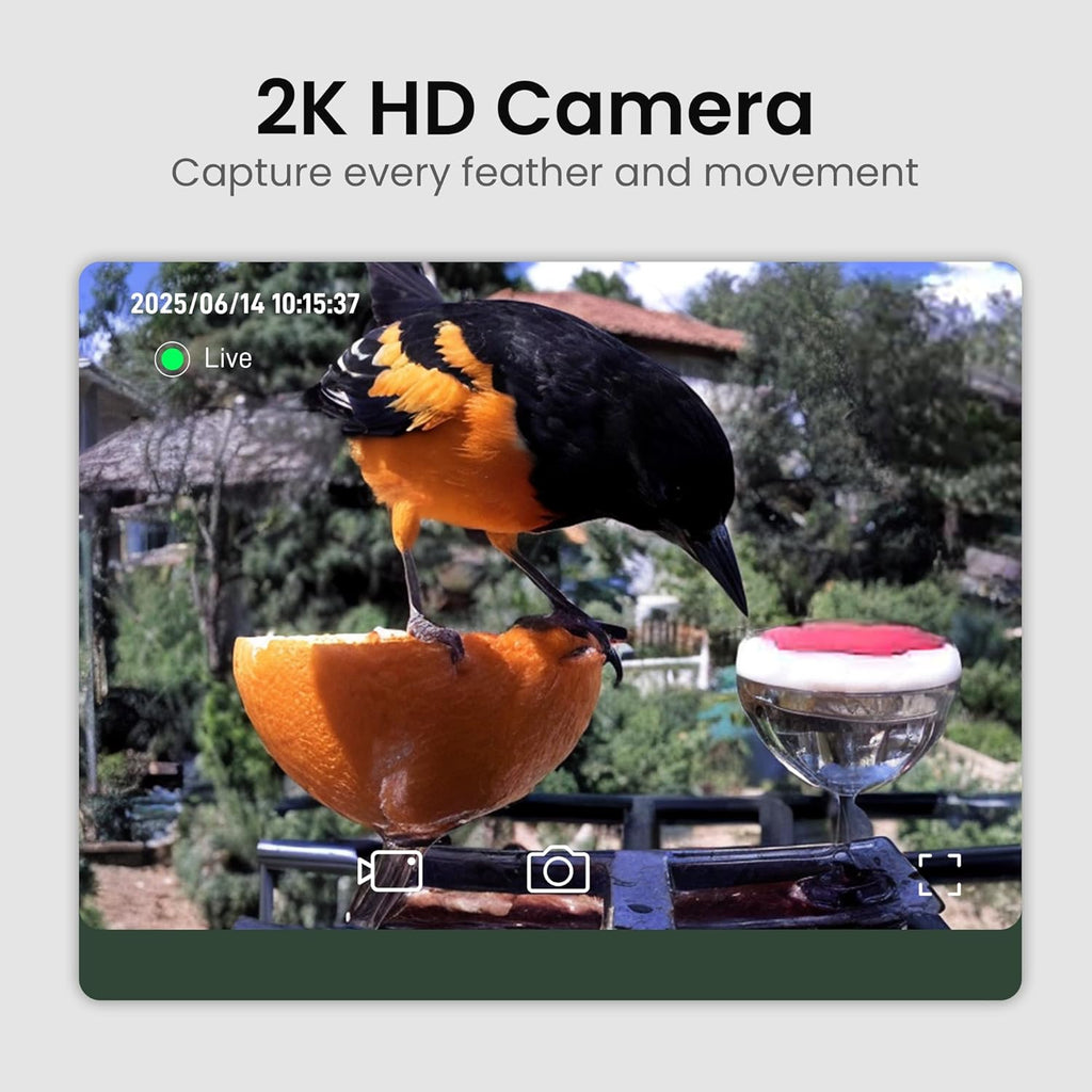 Smart Bird Feeder with Camera Solar Powered, 2K HD Video, AI Bird Species Identification, Instant Arrival Alerts, Weatherproof Design for Effortless Birdwatching, Gift for Fathers Day, Red