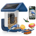 Bird Feeder with Camera Solar Powered: Smart Hummingbird Feeder for Backyard Tree - 2K Live AI Identify Auto Capture Bird Video - WiFi Bird Watching Feeders Gift for Mom Dad