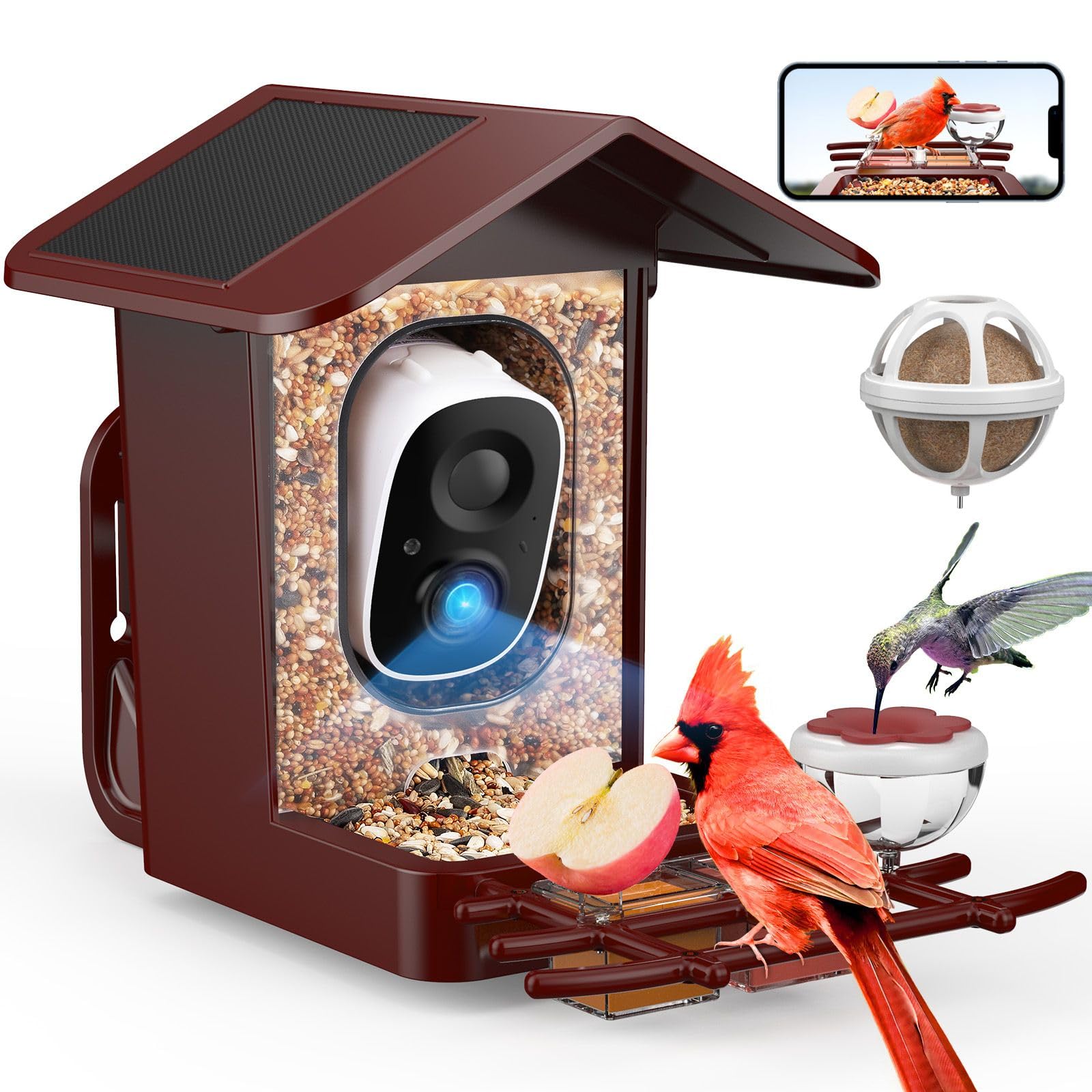 PeckCam Bird Feeder with Camera Solar Powered, AI Identify & Auto Capture, 2K HD Live Video Smart Bird Feeder Camera Instant Notifications in Backyard, Gift for Bird Lovers