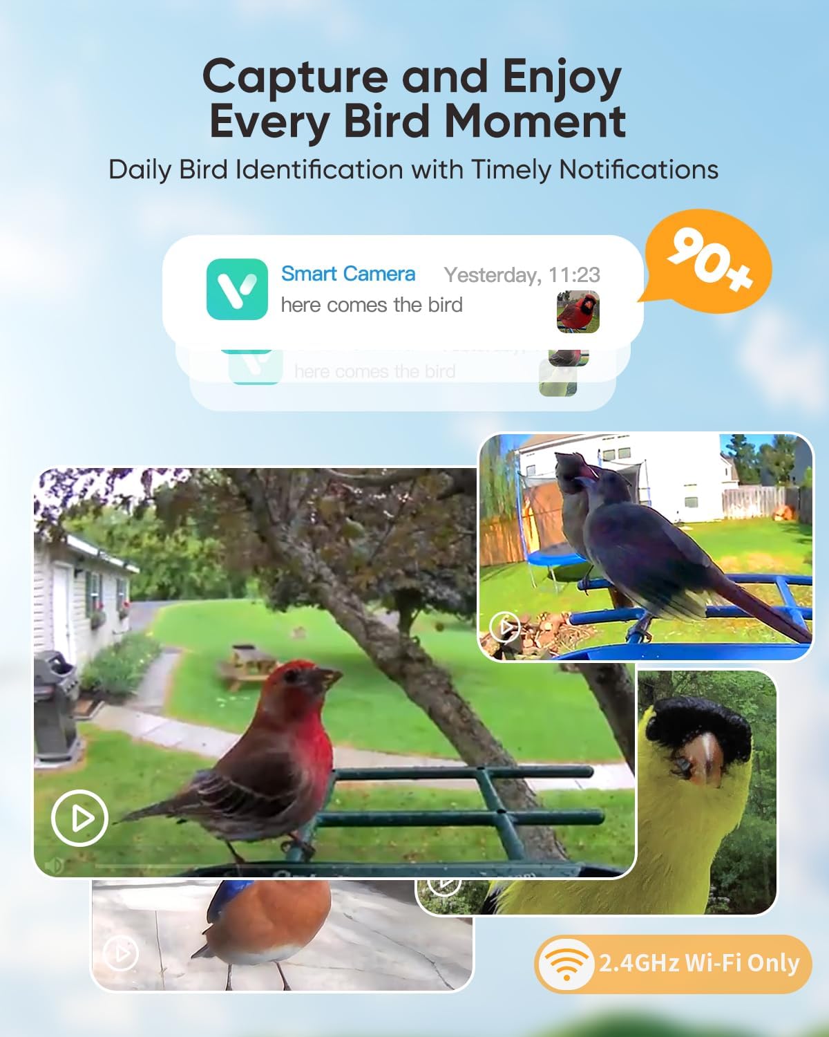 Bird Feeder with Camera Solar Powered: Smart Hummingbird Feeder for Backyard Tree - 2K Live AI Identify Auto Capture Bird Video - WiFi Bird Watching Feeders Gift for Mom Dad