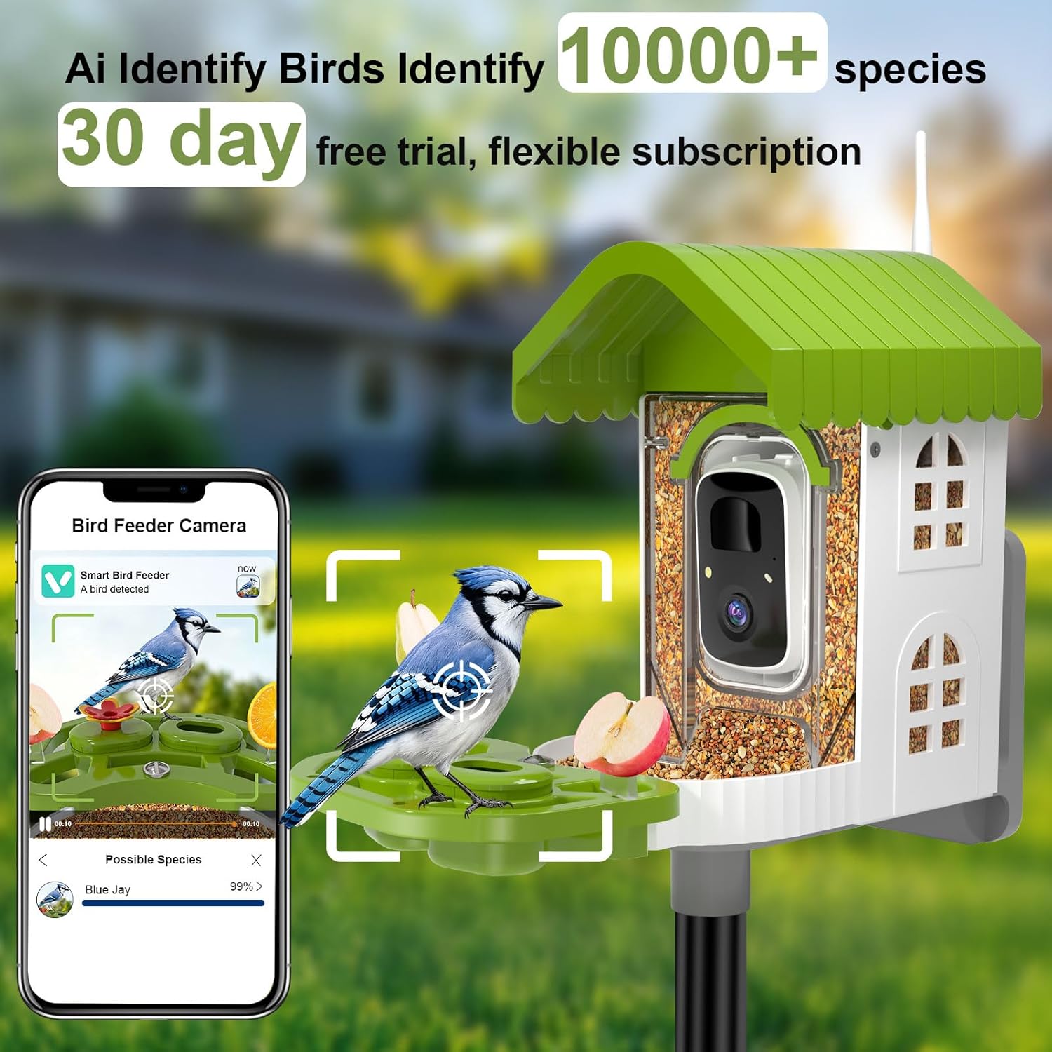 NEEZUKAR Smart Bird Feeder with Camera Solar Powered, AI Identify Birds Species, 2K HD Video, Real-Time Bird Alert, Wireless & Weatherproof Design for Outdoor, Gift for Father's Day(Green)