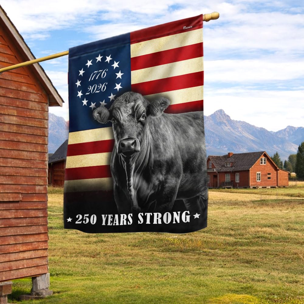 FLAGWIX American 250 Years Anniversary Flag - Polyester Double-sided Yard Flags For Outside Grommet Flag, 3x5 ft - 4th of July Decorations for Home Yard Garden Decor Banner, Gifts For Men Women