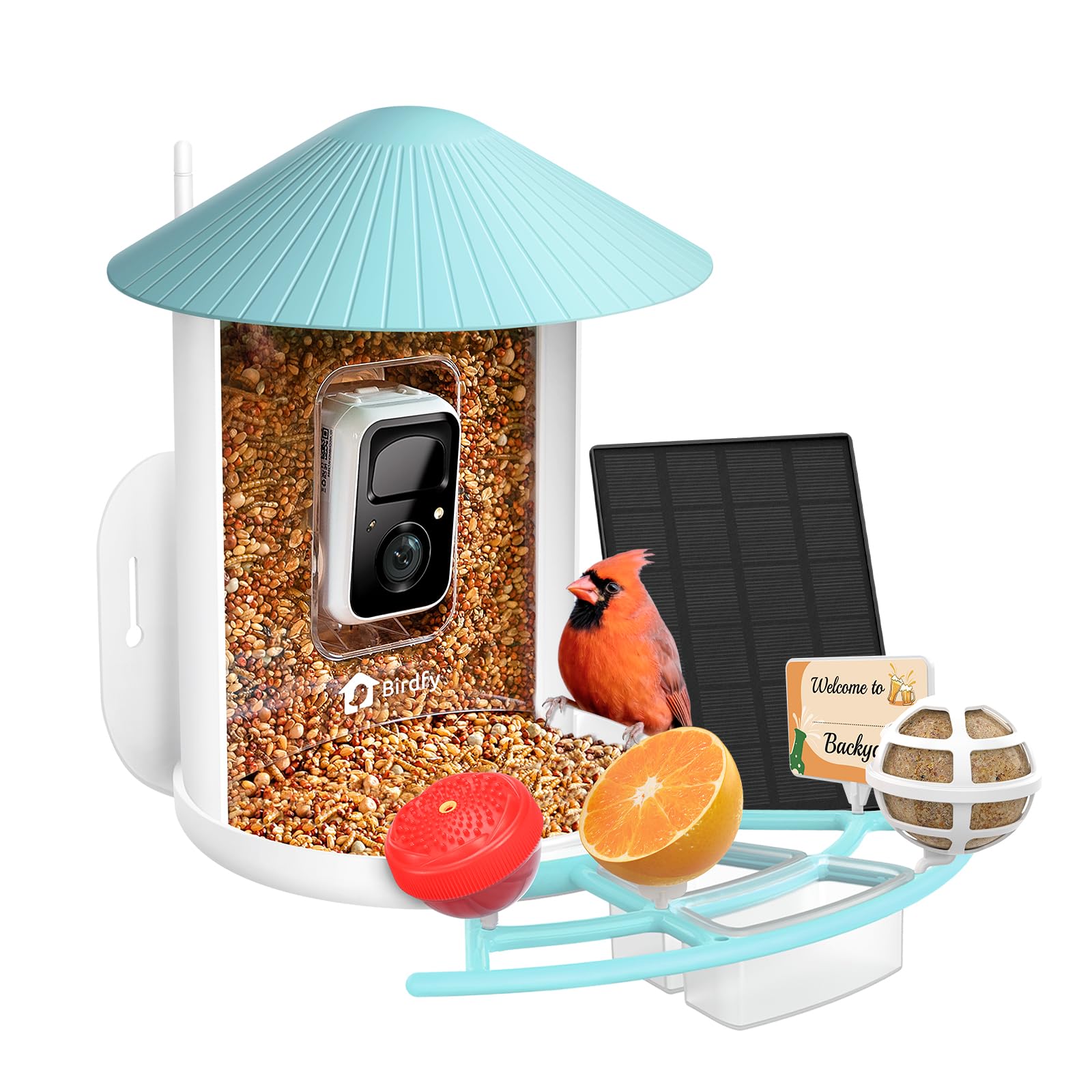 NETVUE Birdfy® Hummee Smart Hummingbird Feeder with Camera, Auto Capture Bird Videos & Birdwatching Up-Close, 2 in 1 Feeders Attract More Hummingbirds, Ideal Present for Bird Lover