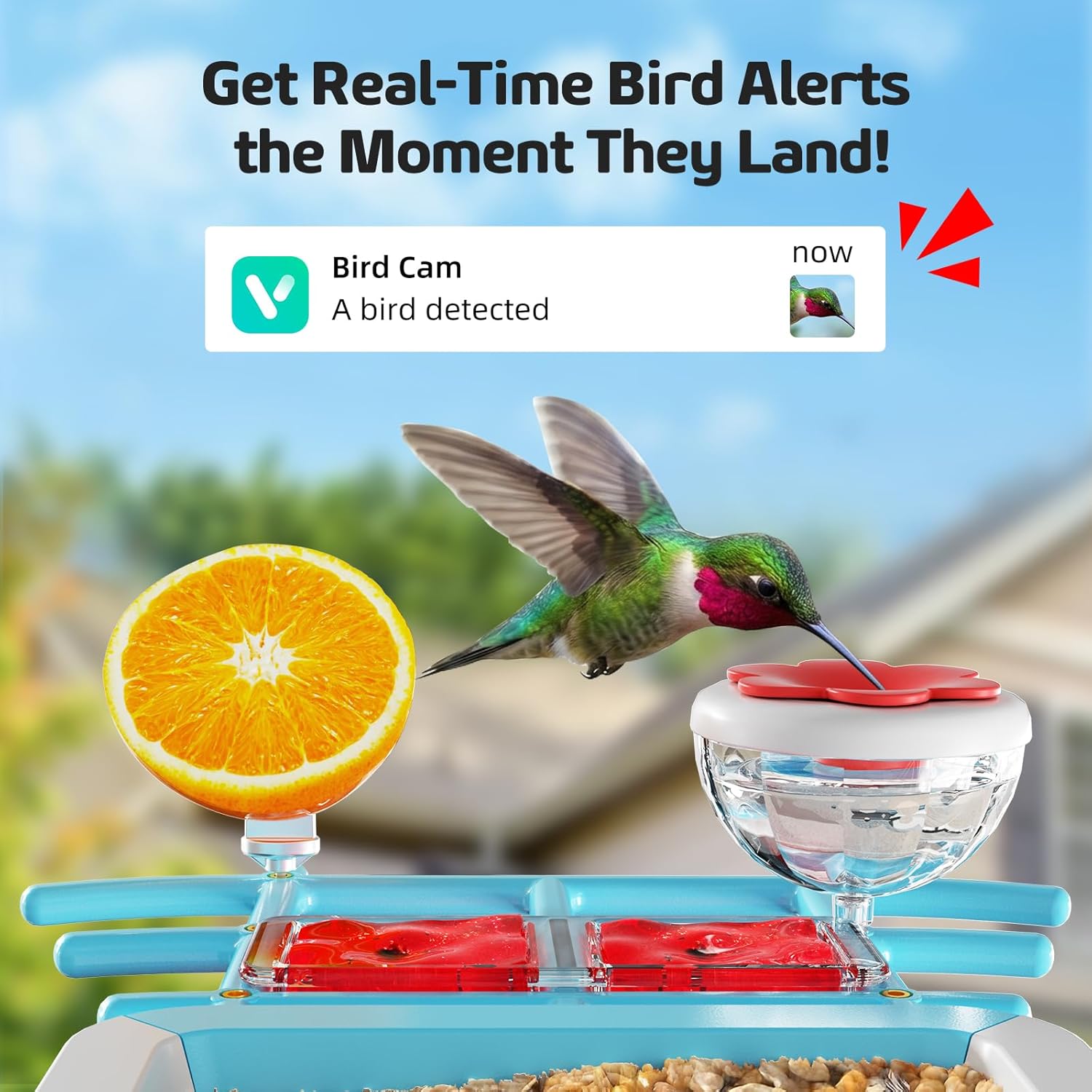 Bird Feeder with Camera 2K HD AI Smart Identify BirdSpecies Solar Panel Outdoors Birdhouse with Cam, Instant Arrival Alerts, Capture BirdVideo, Gifts for Mom Dad