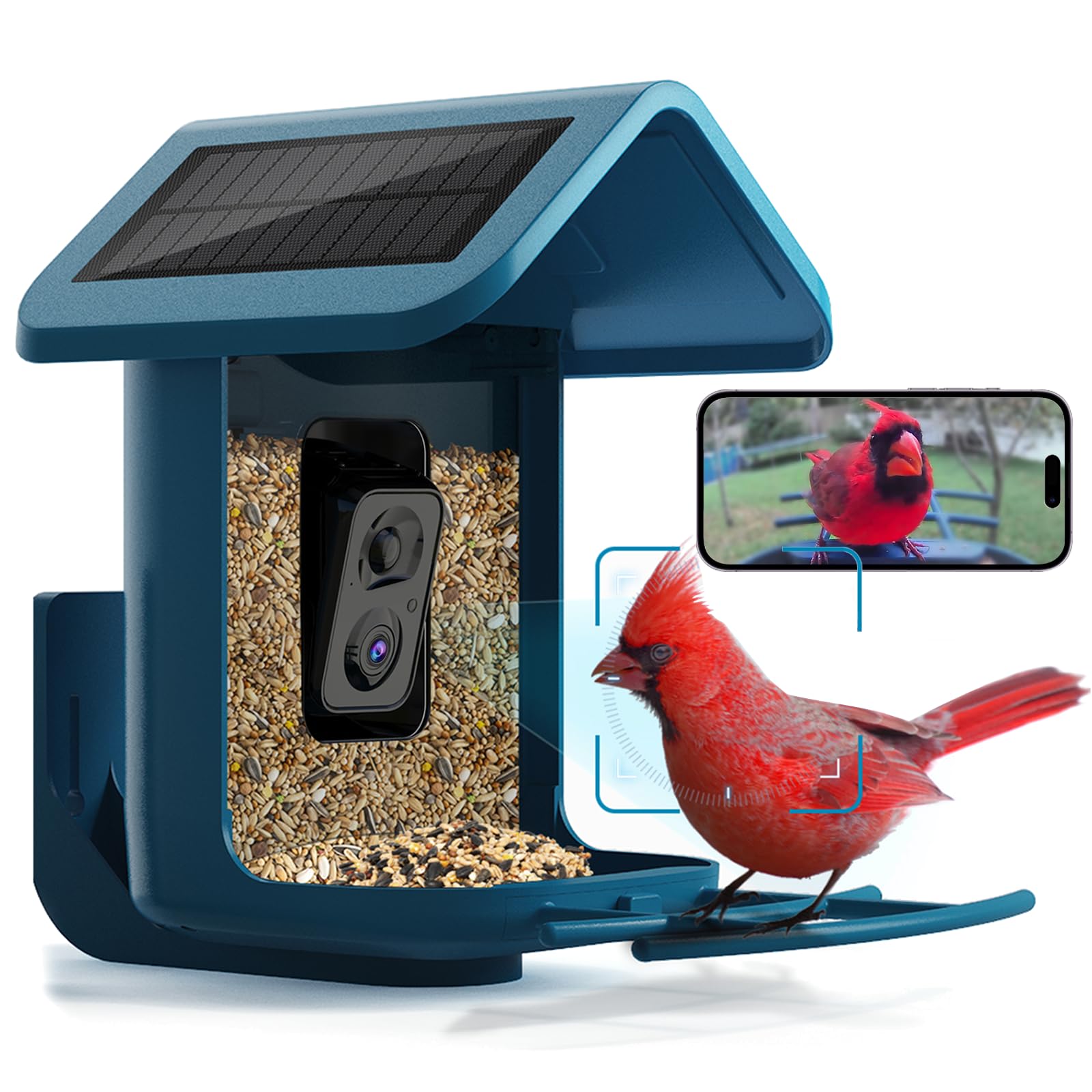 Bird Feeder with Camera Solar Powered: Smart Hummingbird Feeder for Backyard Tree - 2K Live AI Identify Auto Capture Bird Video - WiFi Bird Watching Feeders Gift for Mom Dad