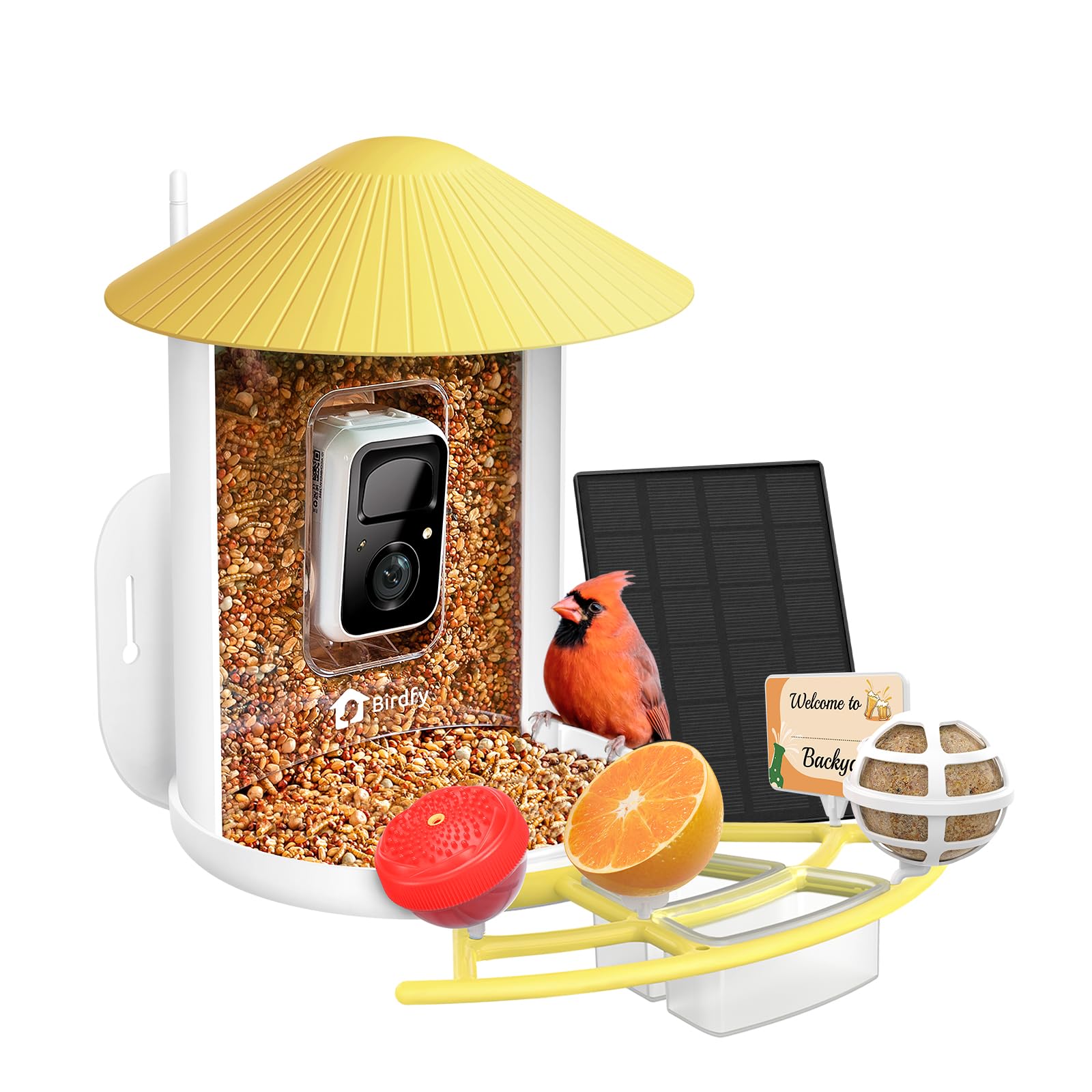 NETVUE Birdfy® Hummee Smart Hummingbird Feeder with Camera, Auto Capture Bird Videos & Birdwatching Up-Close, 2 in 1 Feeders Attract More Hummingbirds, Ideal Present for Bird Lover