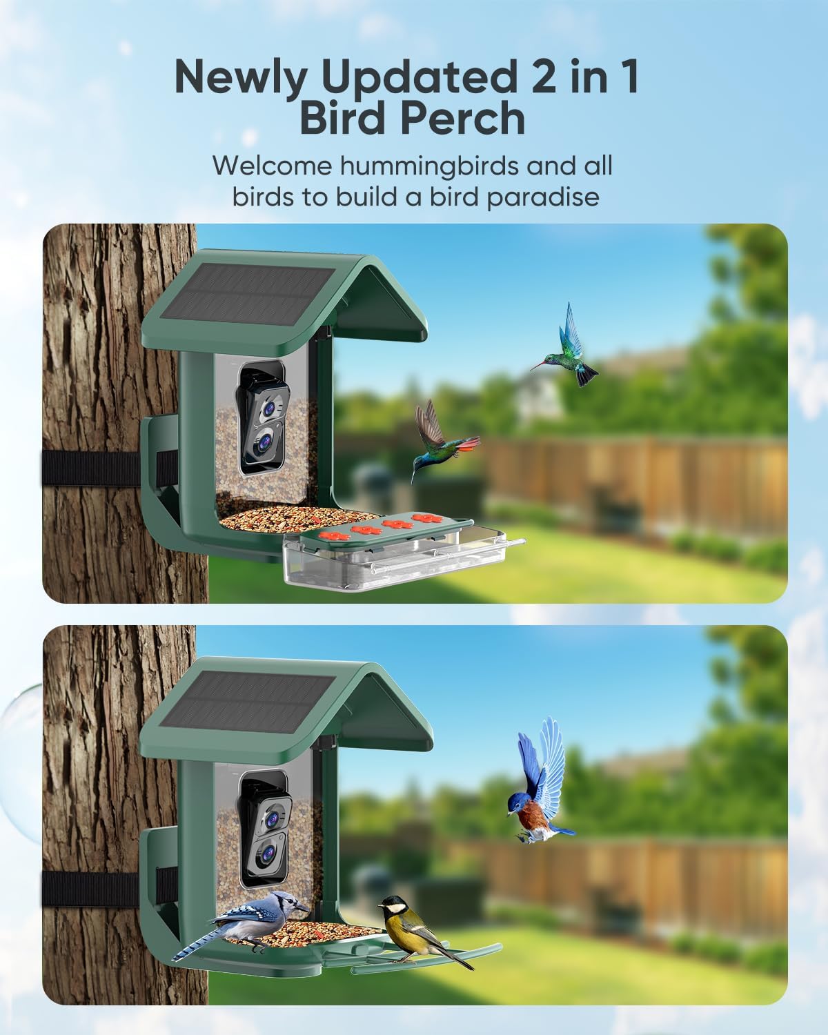 Bird Feeder with Camera Solar Powered: Smart Hummingbird Feeder for Backyard Tree - 2K Live AI Identify Auto Capture Bird Video - WiFi Bird Watching Feeders Gift for Mom Dad