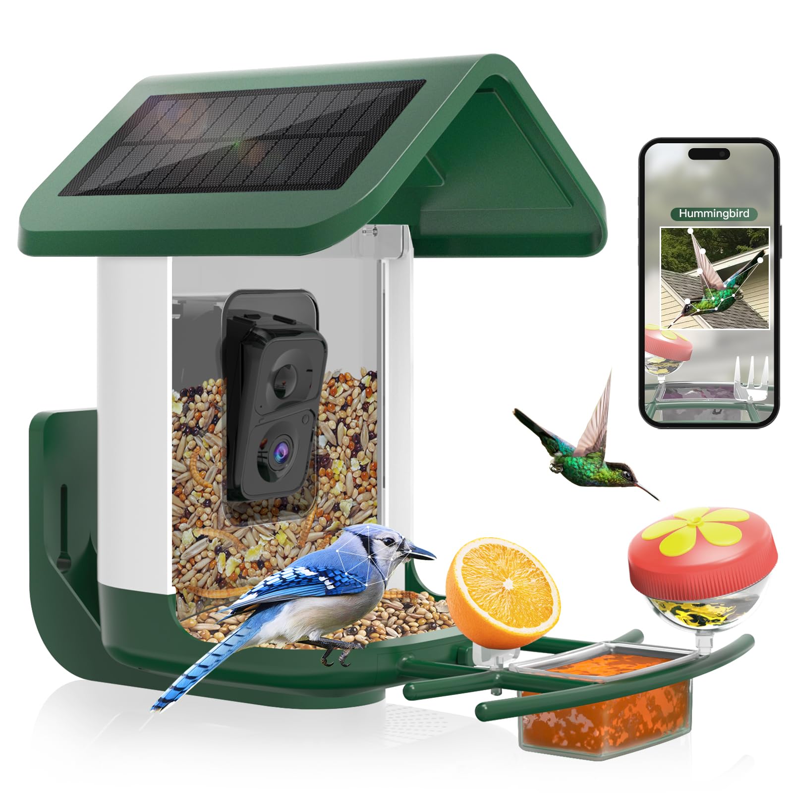Bird Feeder with Camera Solar Powered: Smart Hummingbird Feeder for Backyard Tree - 2K Live AI Identify Auto Capture Bird Video - WiFi Bird Watching Feeders Gift for Mom Dad
