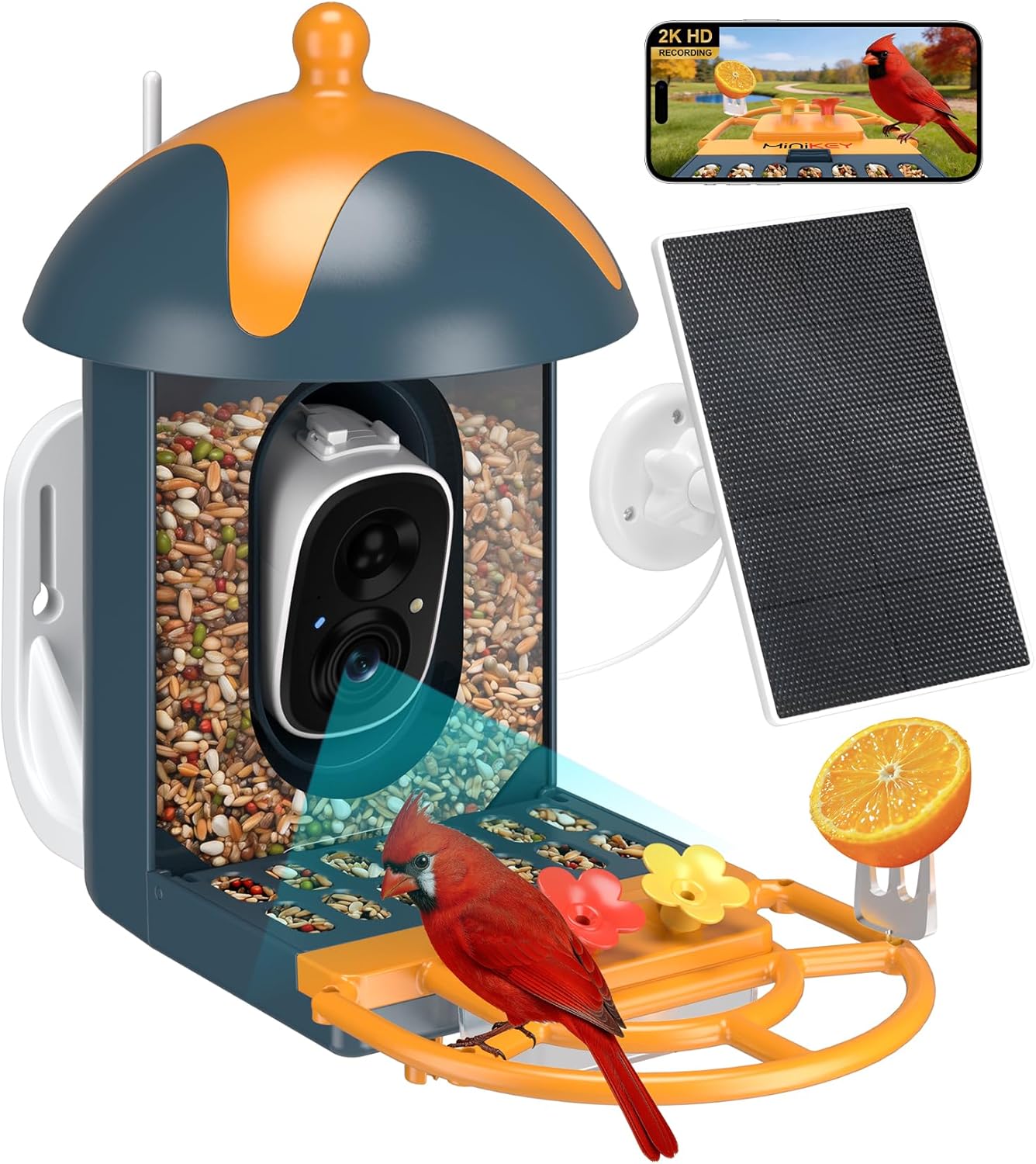 Smart Bird Feeder with Camera Outdoor Birdhouse: AI Identifies 11000+ Species, 2K HD with Arrival Alerts, Attracts Hummingbirds, Dual Squirrel-Proof, Solar Powered, Gifts for Bird Lovers Mom Dad(Blue)