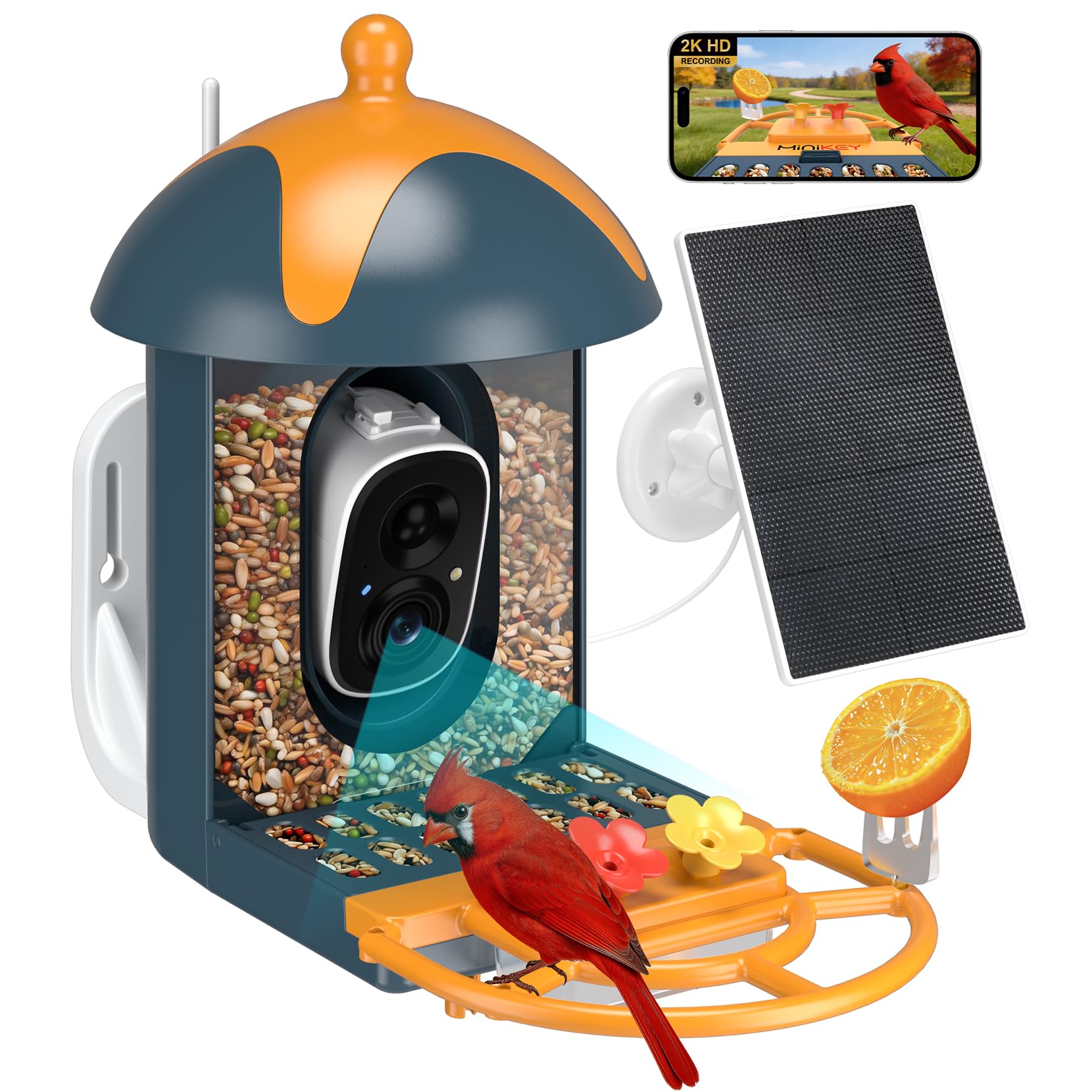 Smart Bird Feeder with Camera Outdoor Birdhouse: AI Identifies 11000+ Species, 2K HD with Arrival Alerts, Attracts Hummingbirds, Dual Squirrel-Proof, Solar Powered, Gifts for Bird Lovers Mom Dad(Blue)
