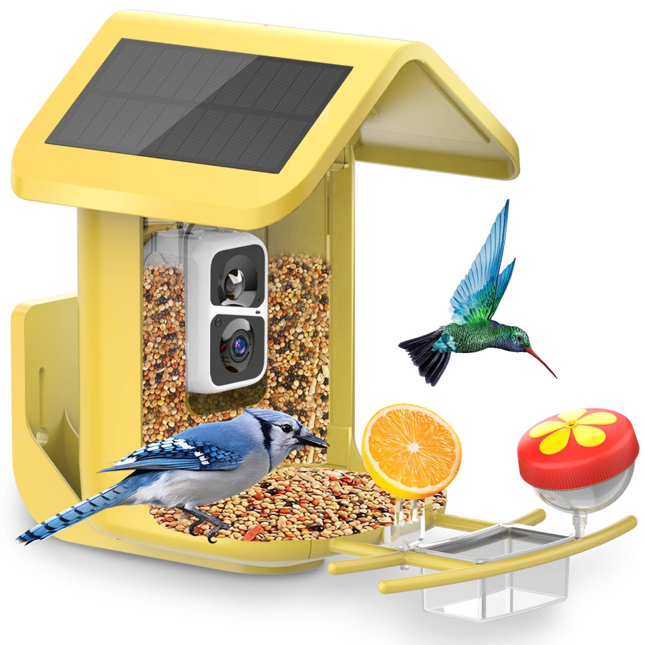 Bird Feeder with Camera Solar Powered: Smart Hummingbird Feeder for Backyard Tree - 2K Live AI Identify Auto Capture Bird Video - WiFi Bird Watching Feeders Gift for Mom Dad