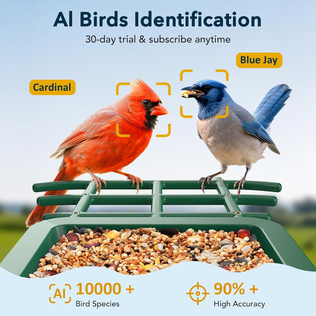 PeckCam Bird Feeder with Camera Solar Powered, AI Identify & Auto Capture, 2K HD Live Video Smart Bird Feeder Camera Instant Notifications in Backyard, Gift for Bird Lovers