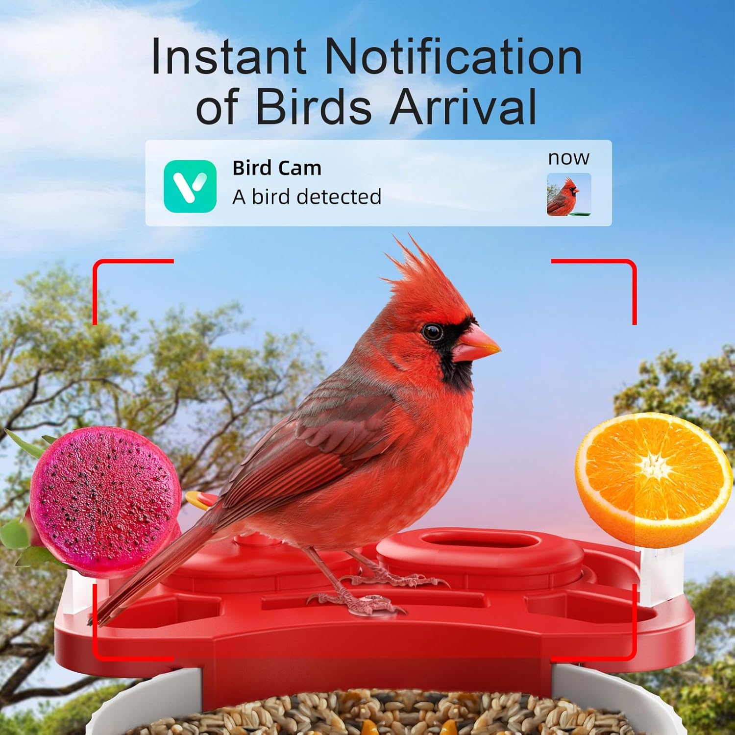 SV3C Bird Feeder with Camera, Smart Bird Feeder Camera with AI Identify BirdSpecies, Solar Powered, Instant Alerts, 2K HD Video, Various DIY Addons, 2.4G WiFi, Gift for Mom Dad and Birdlover (Red)