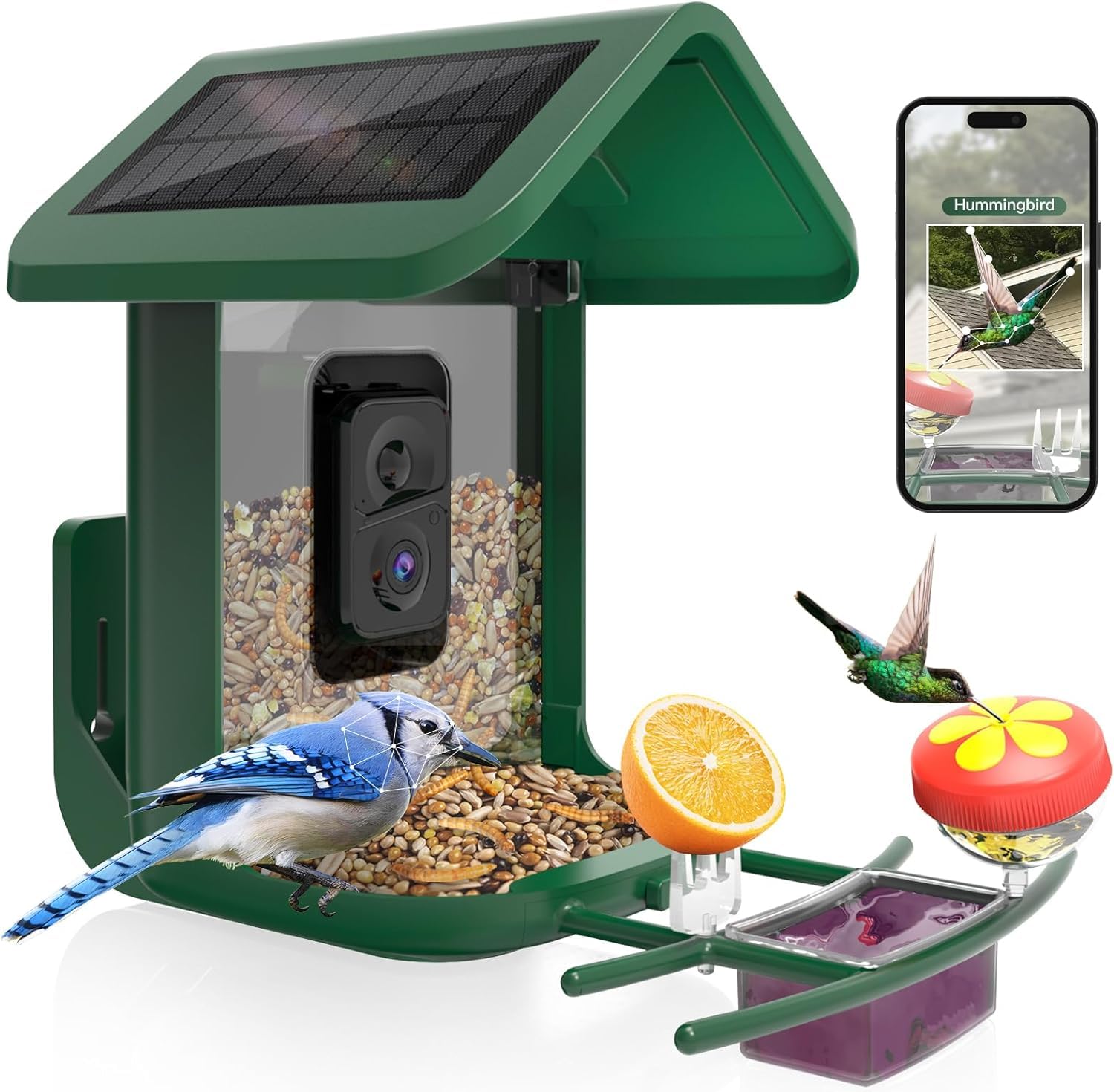 Bird Feeder with Camera Solar Powered: Smart Hummingbird Feeder for Backyard Tree - 2K Live AI Identify Auto Capture Bird Video - WiFi Bird Watching Feeders Gift for Mom Dad