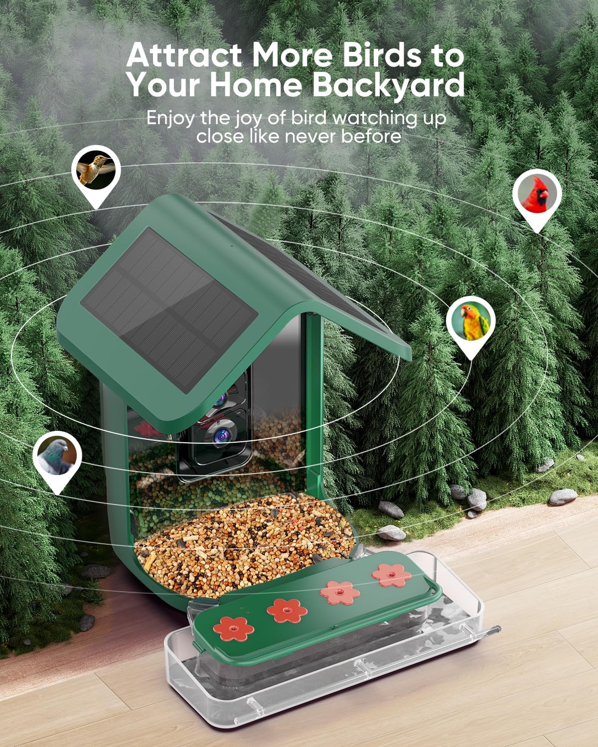 Bird Feeder with Camera Solar Powered: Smart Hummingbird Feeder for Backyard Tree - 2K Live AI Identify Auto Capture Bird Video - WiFi Bird Watching Feeders Gift for Mom Dad