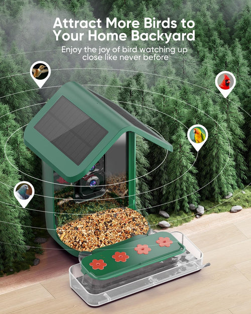 Bird Feeder with Camera Solar Powered: Smart Hummingbird Feeder for Backyard Tree - 2K Live AI Identify Auto Capture Bird Video - WiFi Bird Watching Feeders Gift for Mom Dad