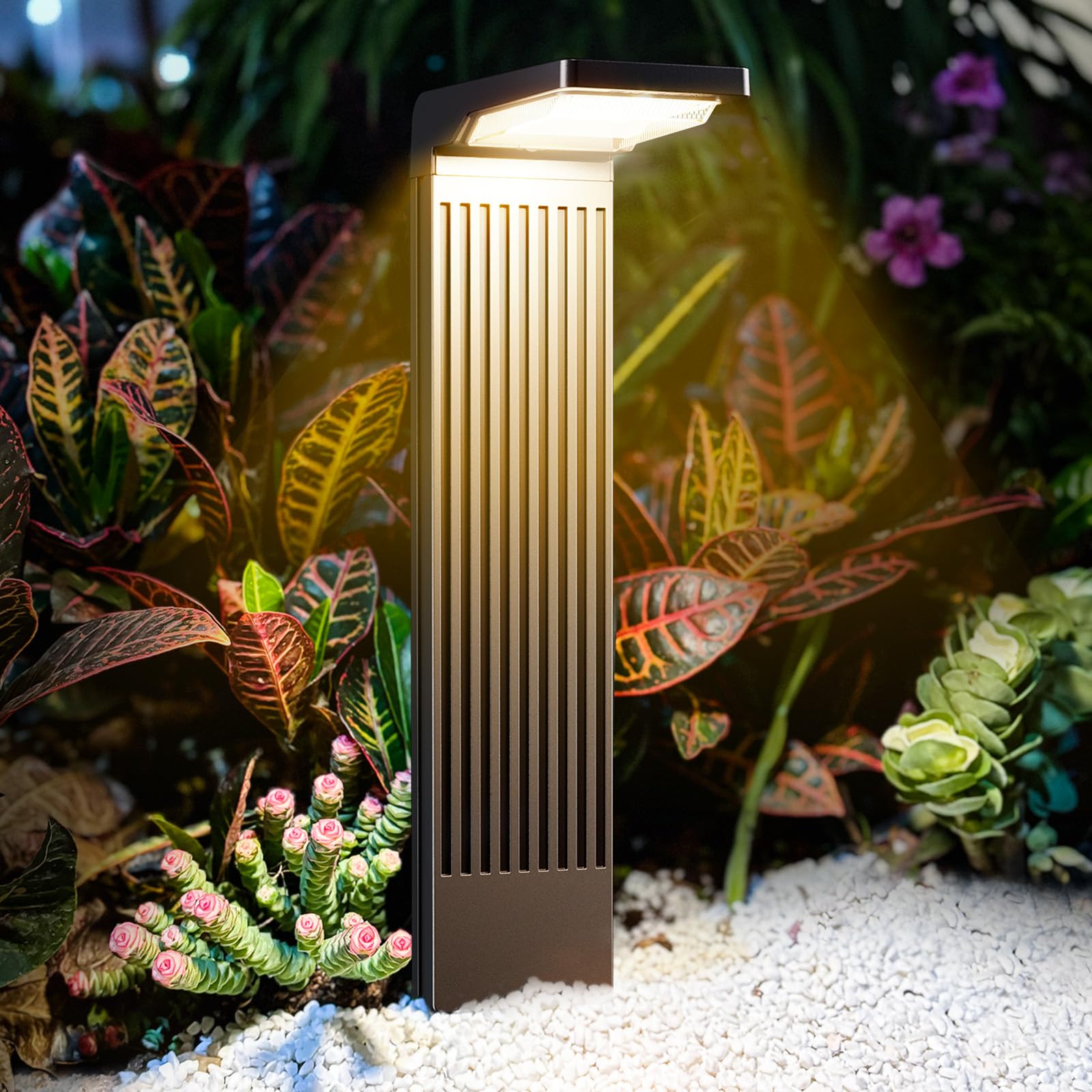 COXSENI Solar Pathway Lights Outdoor 4Pack, Bright 60LED Solar Path Lights Outside Waterproof, Warm & Cool Walkway Lights Solar Powered, Landscape Light for Driveway Lawn Patio Garden Yard