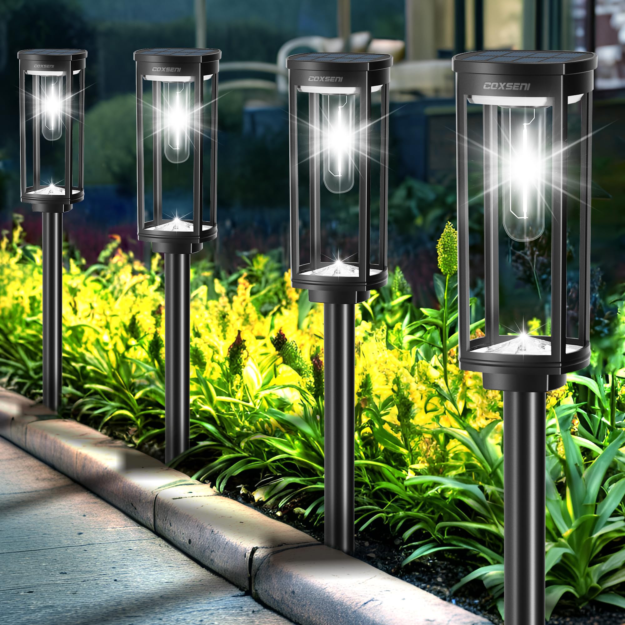 COXSENI Solar Pathway Lights Outdoor 6 Pack, Bright Solar Path Lights Outside Waterproof, Walkway Light Solar Powered Landscape Lights for Driveway Lawn Patio Sidewalk Yard