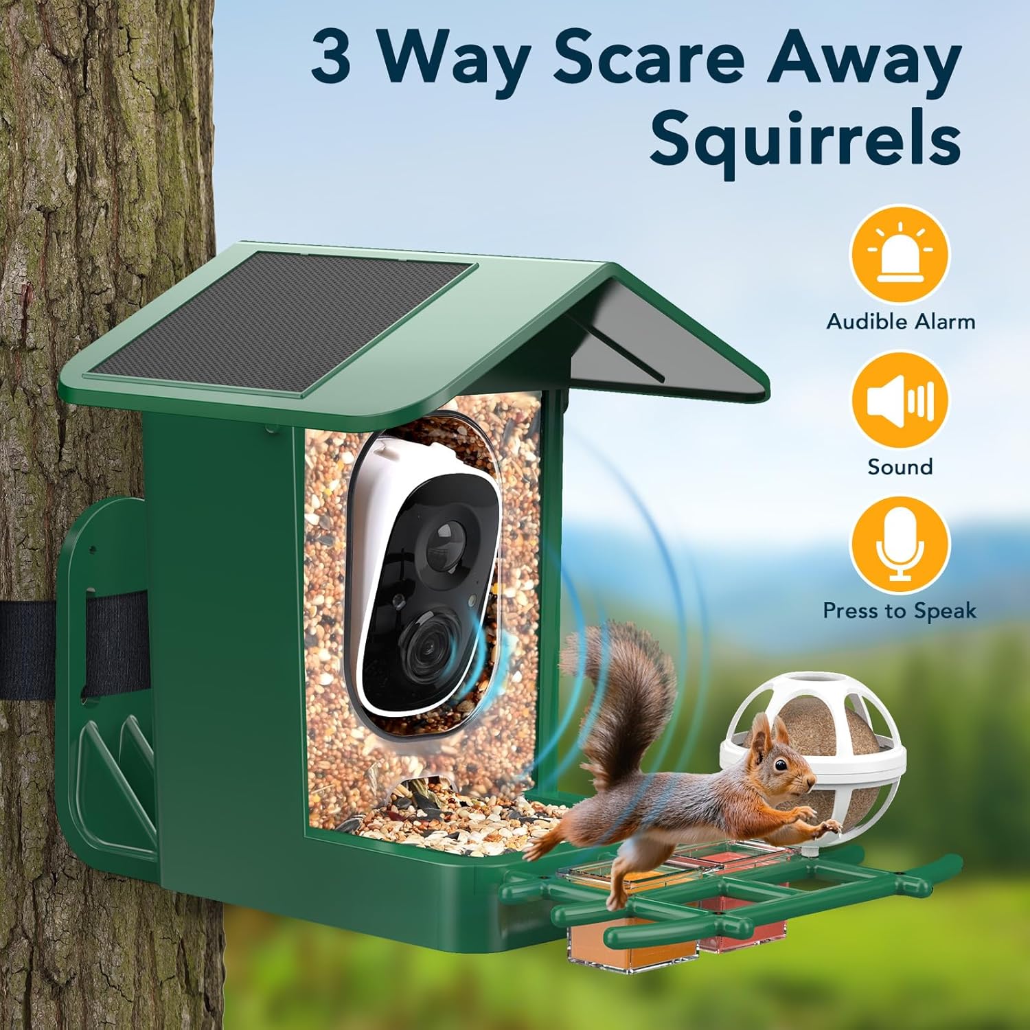 PeckCam Bird Feeder with Camera Solar Powered, AI Identify & Auto Capture, 2K HD Live Video Smart Bird Feeder Camera Instant Notifications in Backyard, Gift for Bird Lovers