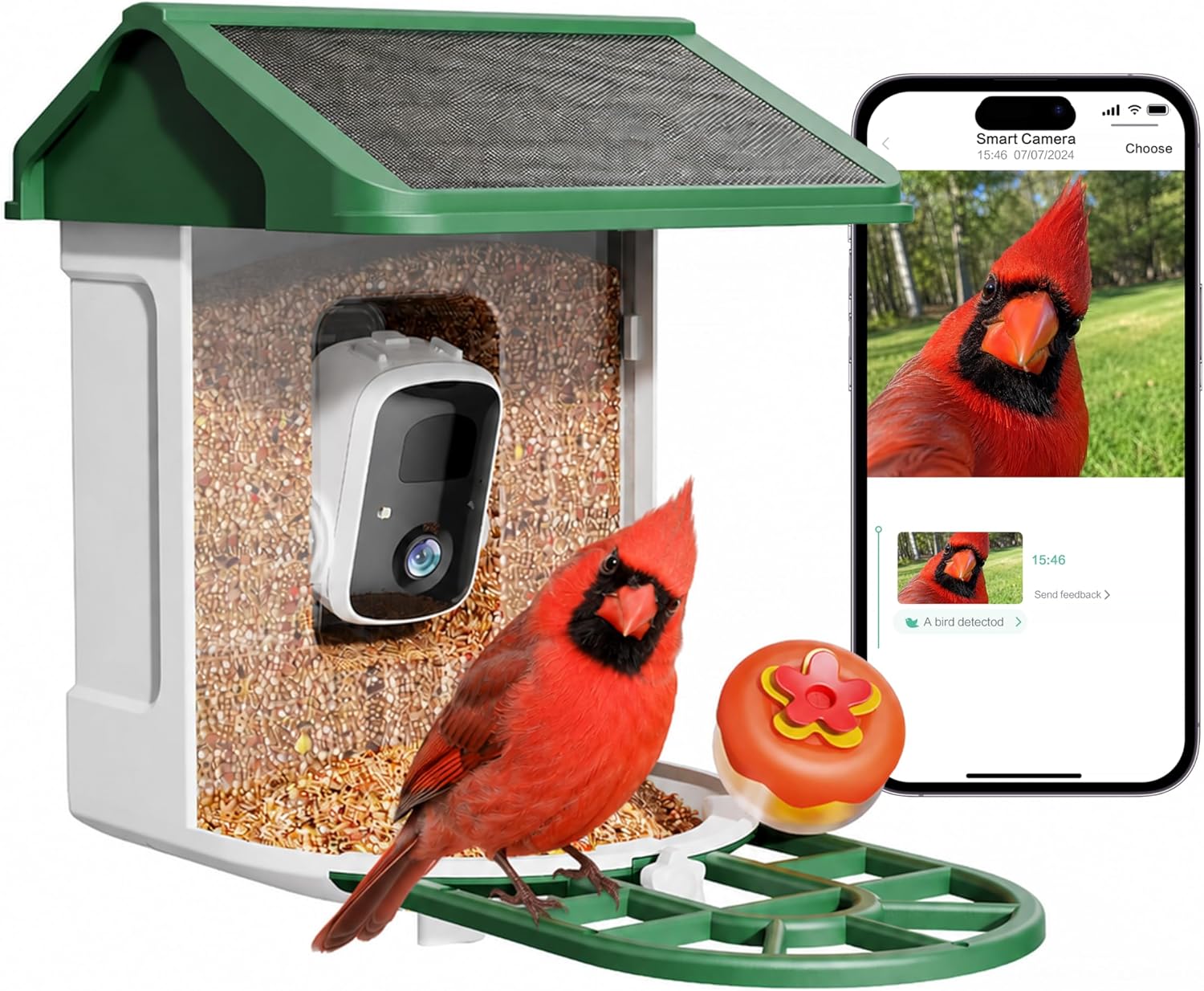 HARYMOR Bird Feeder with Camera Solar Powered-2K Live Feed, Smart AI Identify Birds, 2L Food Capacity, Auto Captured Bird Video, Real-time Arrived Alerts, Mini Hummingbird Feeder for Outdoor Backyard