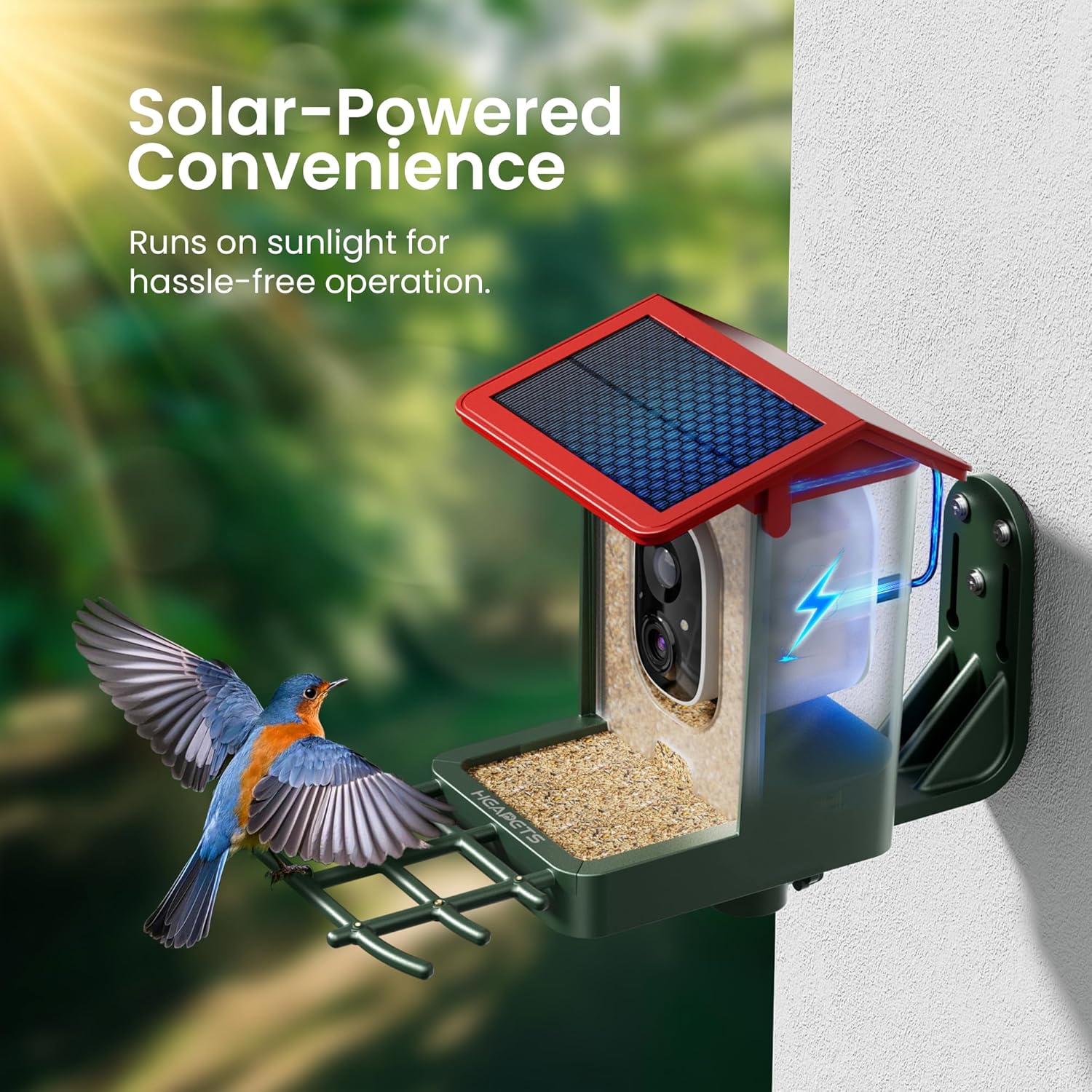 Smart Bird Feeder with Camera Solar Powered, 2K HD Video, AI Bird Species Identification, Instant Arrival Alerts, Weatherproof Design for Effortless Birdwatching, Gift for Fathers Day, Red