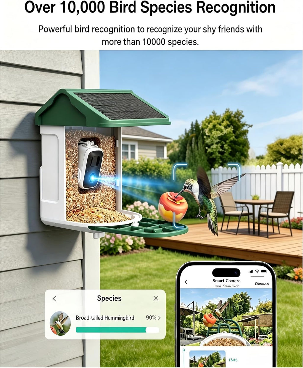 HARYMOR Bird Feeder with Camera Solar Powered-2K Live Feed, Smart AI Identify Birds, 2L Food Capacity, Auto Captured Bird Video, Real-time Arrived Alerts, Mini Hummingbird Feeder for Outdoor Backyard